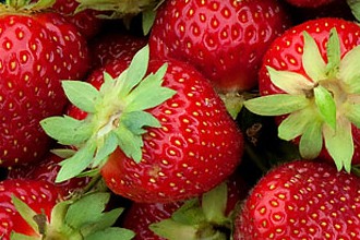 Photo of Strawberries with Balsamic Vinegar